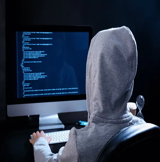 Istrage ucenjivanja na internetu detektiv